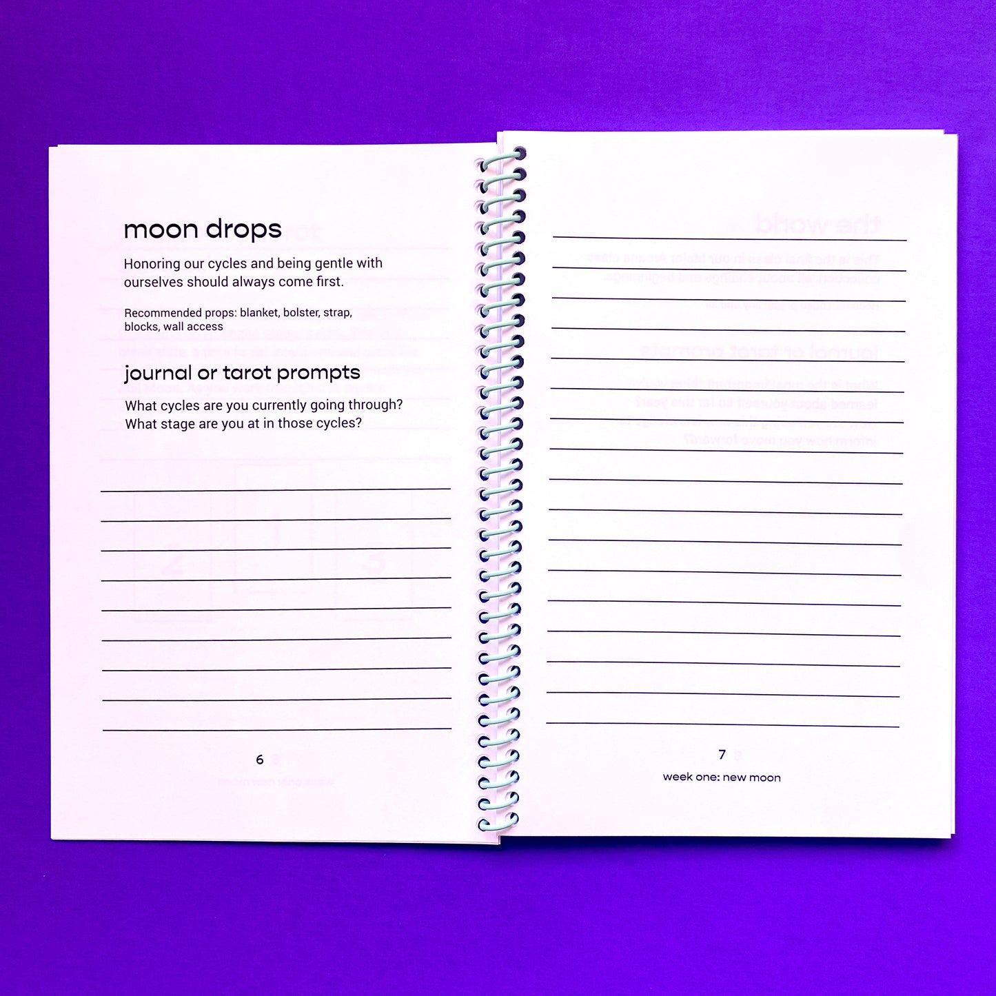Moon Cycles 28-Day Challenge Workbook