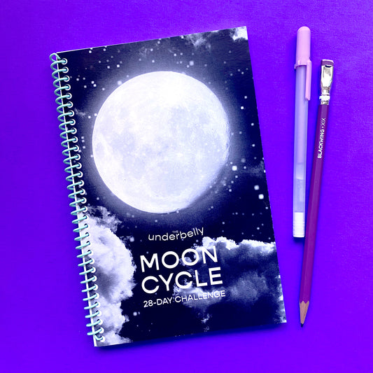 Moon Cycles 28-Day Challenge Workbook