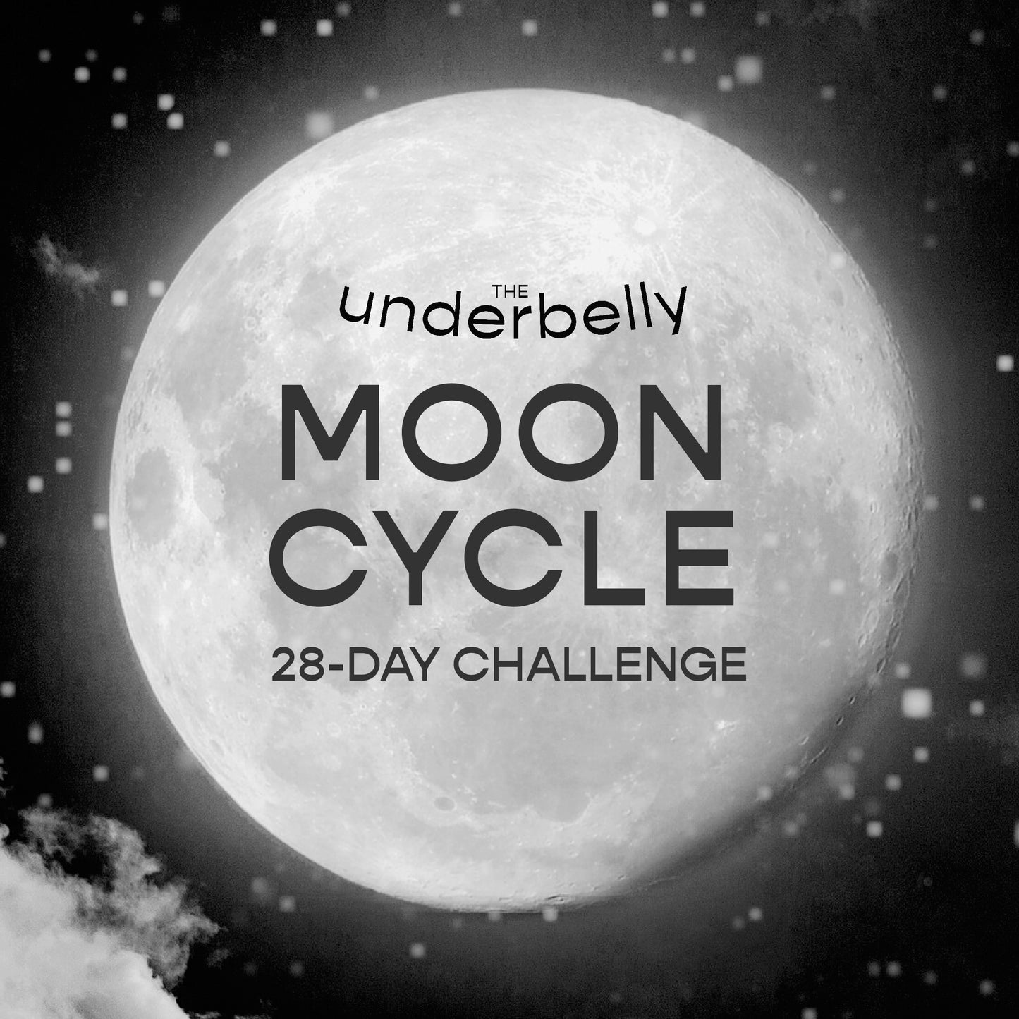 Moon Cycles 28-Day Challenge Workbook DIGITAL PDF